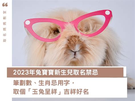 2023屬兔寶寶|2023年兔寶寶新生兒取名禁忌：筆劃數、生肖忌用。